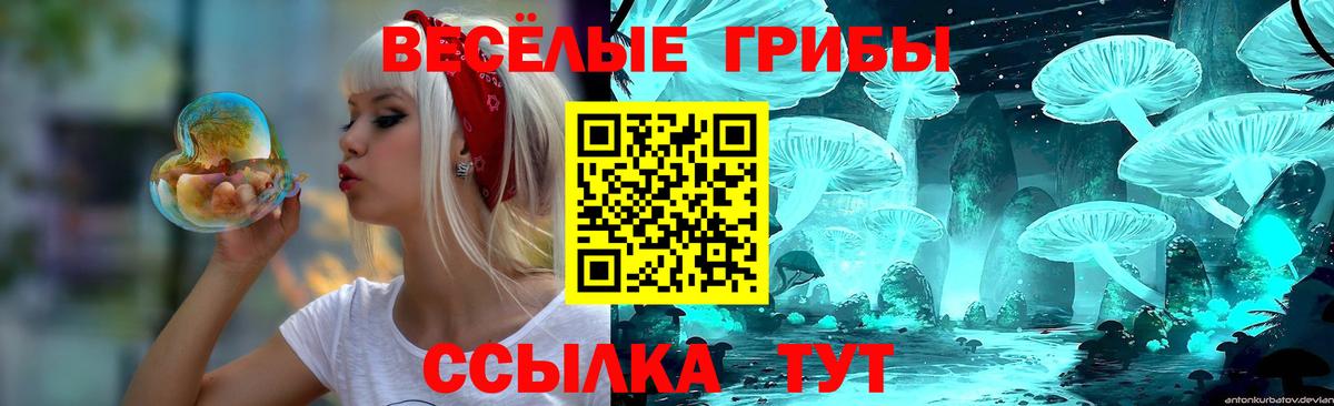 Псилоцибиновые грибы мицелий  купить закладку  Псилоцибиновые грибы прущие грибы  Вятские Поляны  Вход с VPN 
